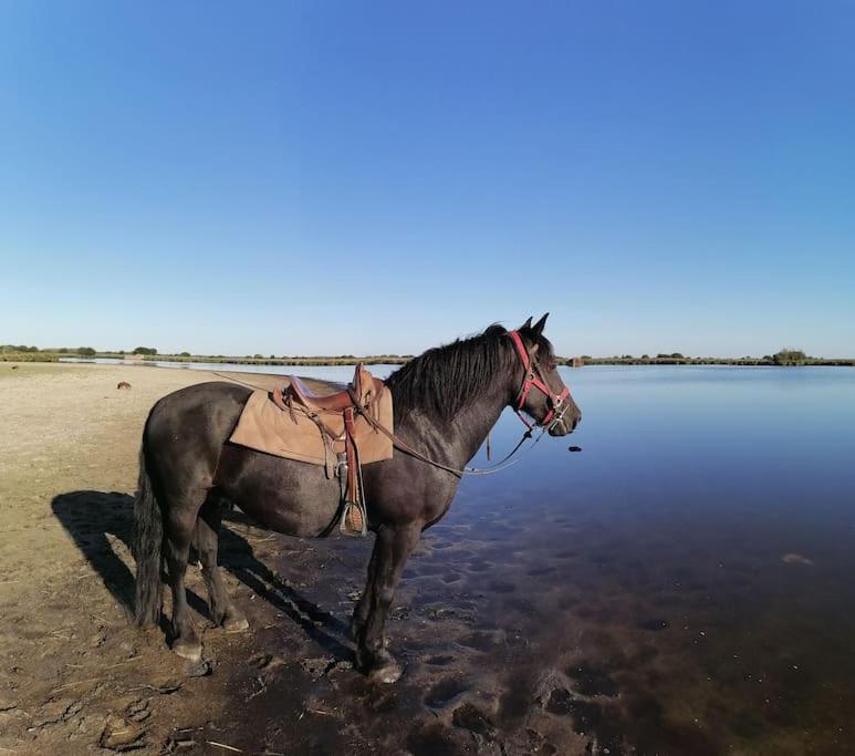 Gite A Saint Andre Des Eaux Luaran gambar