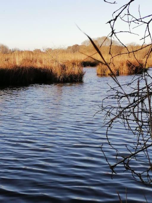 Gite A Saint Andre Des Eaux Luaran gambar