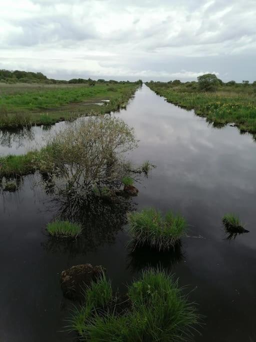 Gite A Saint Andre Des Eaux Luaran gambar
